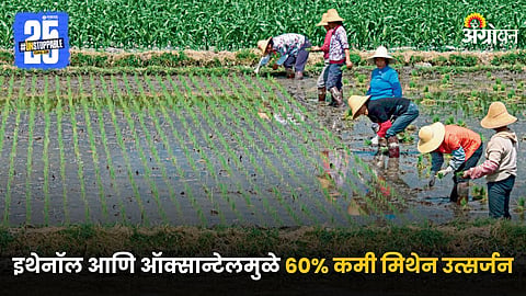 Agriculture
