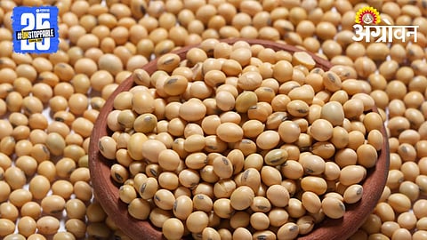 Soybean Rate 