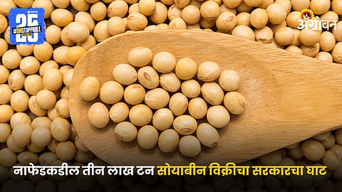 Soybean