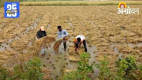Crop Damage 