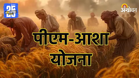 PM Asha Scheme