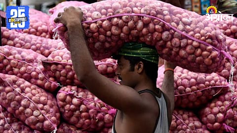 Onion Market Update 