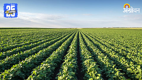 Sustainable Agriculture 