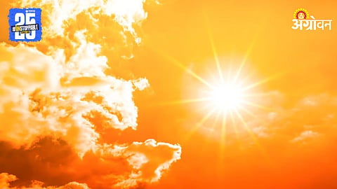 Summer Heat 