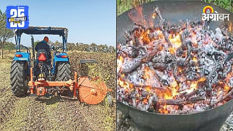 Cotton Residue Management