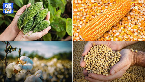 Agriculture Market