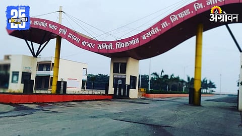 Nashik APMC 