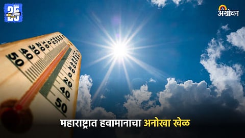 Weather