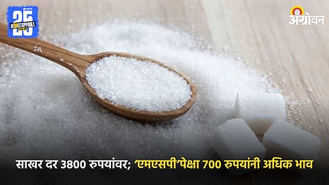 Sugar Production