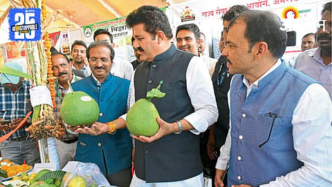 Government Scheme 