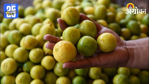 Lemon Rate 