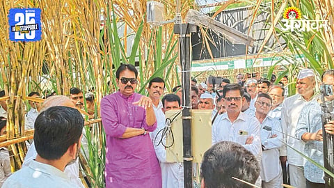 Agriculture AI In Sugarcane Farming 