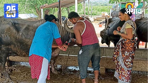 Pashusakhi For Livestock Health 