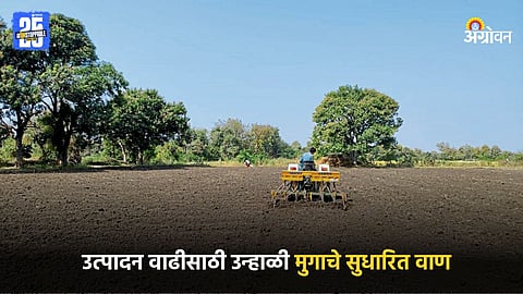 Moong Farming