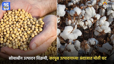 Soybean and Cotton
