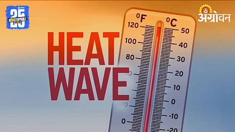 Heat Wave 