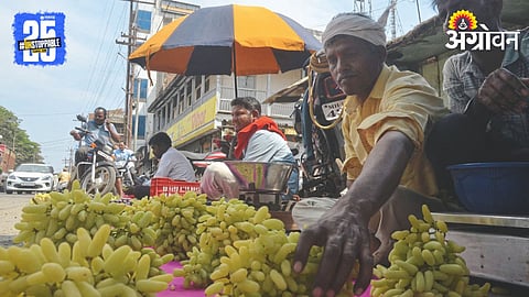 Grape Market 