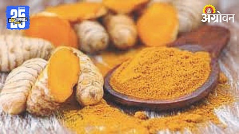 Turmeric Market 