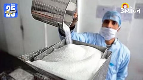 Sugar Production 