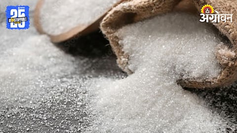 Sugar Production 