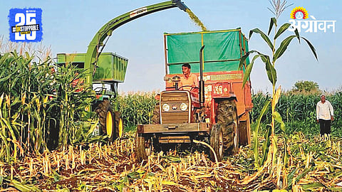 Fodder Management 