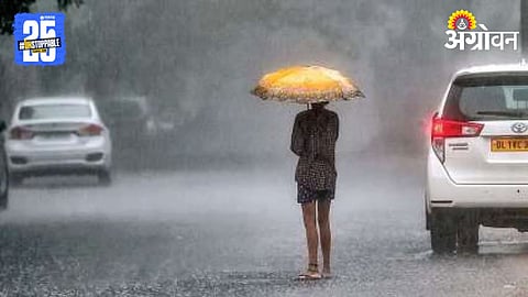 Rain Forecast 