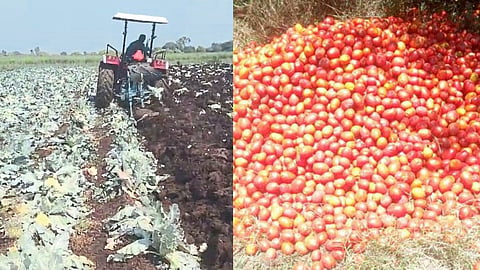 Kolhapur Farmer