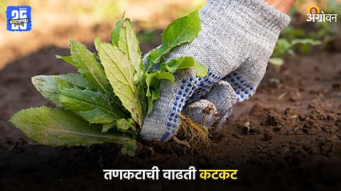 Weed Control