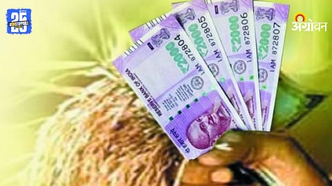 Crop Damage Compensation : अतिवृष्टिबाधित शेतकऱ्यांना मदतीची प्रतीक्षा ; शासनाकडून १९३ कोटींचा निधी उपलब्ध; यंत्रणांकडून कासवगतीने कार्यवाही