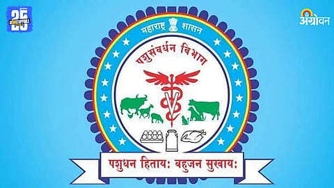 Department of Animal Husbandry