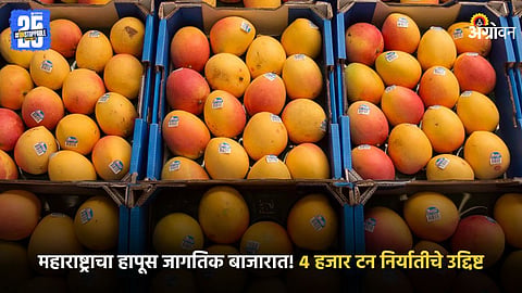 Mango Market