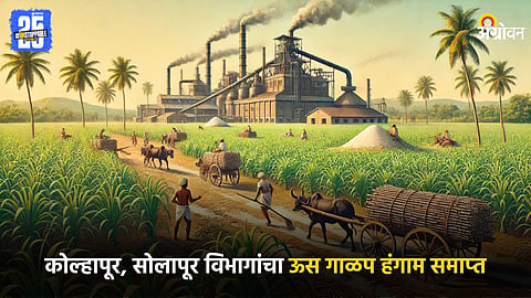 Sugar Industry
