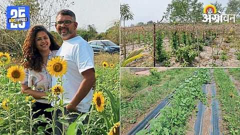 IT Engineers Farming Success 