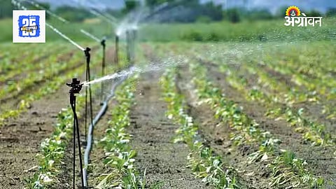 Irrigation Subsidy