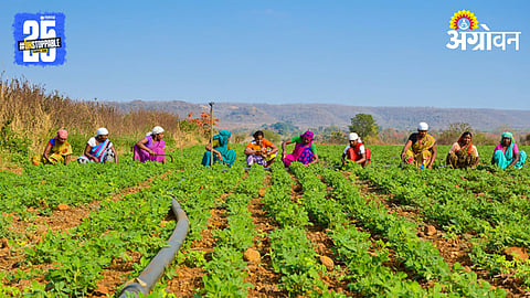 Group Farming