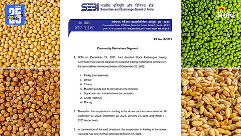 Agriculture Market