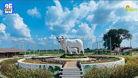 Agro Tourism