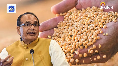 GM Seed | Shivraj Singh Chouhan
