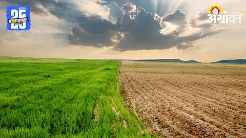 Crop Protection 