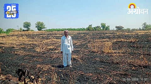 Wheat Crop Fire