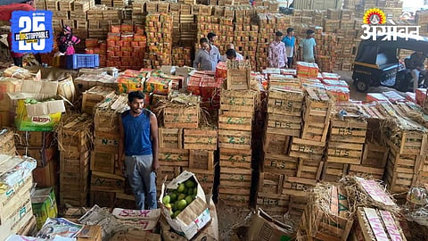 Mango Market 