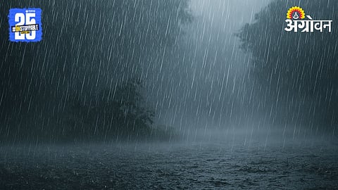 Rain Alert 