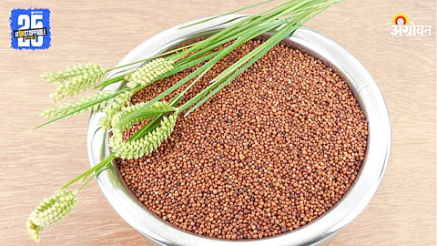 Ragi 