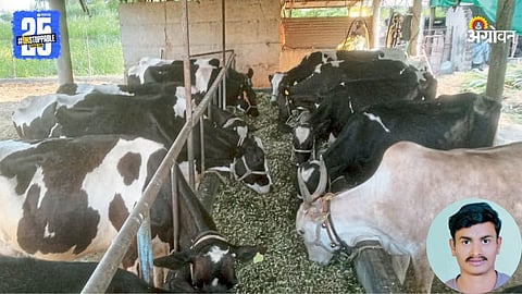 Dairy Farming