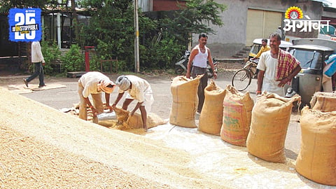 Agriculture Market 