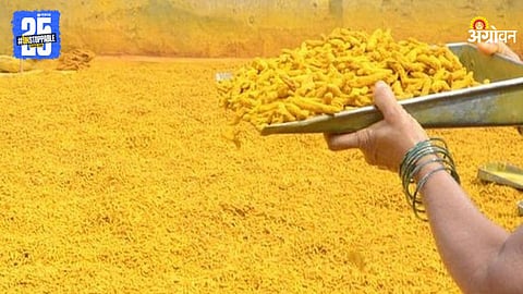 Turmeric