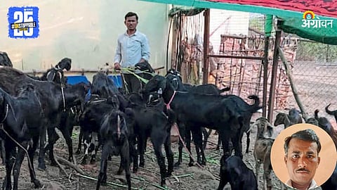 Goat Farming
