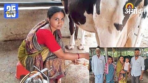 Dairy Farming 
