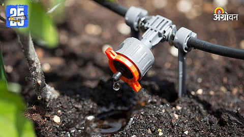 Drip Irrigation