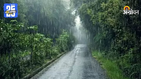 Rain Alert